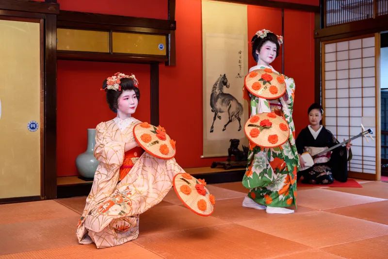 【1日1組限定】貸切相馬樓で舞娘Studyと北前料理の夕べ ～ The OZASHIKI文化 体験